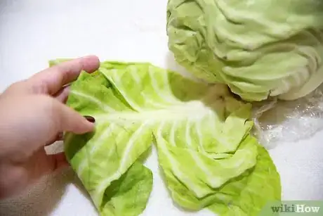 Image titled Cook Cabbage Step 3