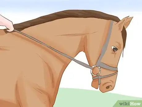 Image titled Do Basic Dressage Successfully Step 6