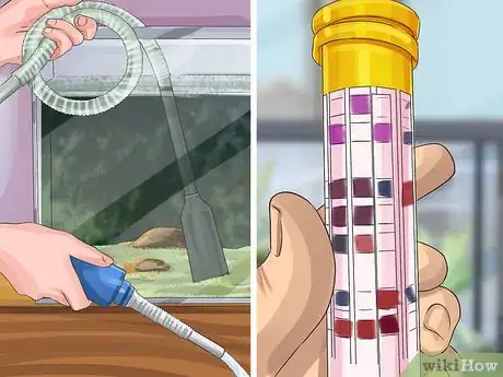 Image titled Start a Saltwater Aquarium Step 40