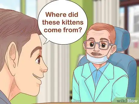 Image titled Adopt a Pair of Kittens Step 4