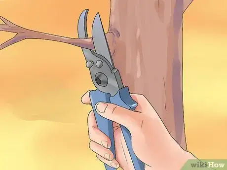 Image titled Care for a Weeping Cherry Tree Step 9