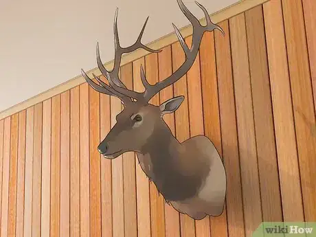 Image titled Decorate Your Home in Eclectic Style Step 3