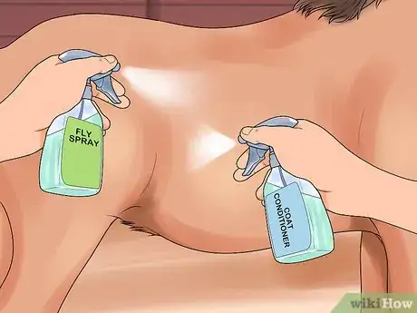 Image titled Groom a Miniature Horse for Show Step 19