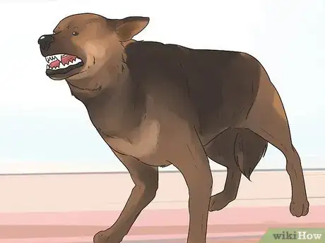 Image titled Diagnose Epilepsy in German Shepherds Step 3