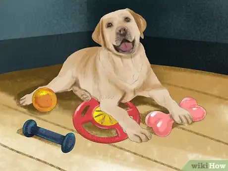 Image titled Keep Your Pet Occupied when You Are Not at Home Step 2
