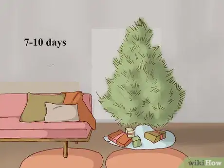 Image titled Care for a Living Christmas Tree Step 11
