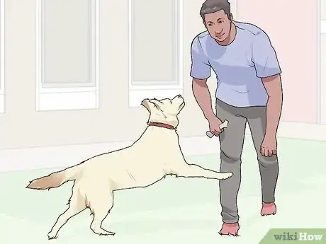 Image titled Handle New Noise Phobias in Older Dogs Step 7