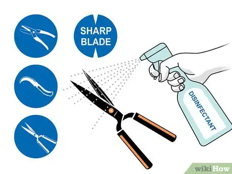 Image titled Prune Dracaena Step 03