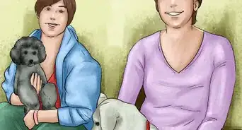 Live with a High Energy Dog