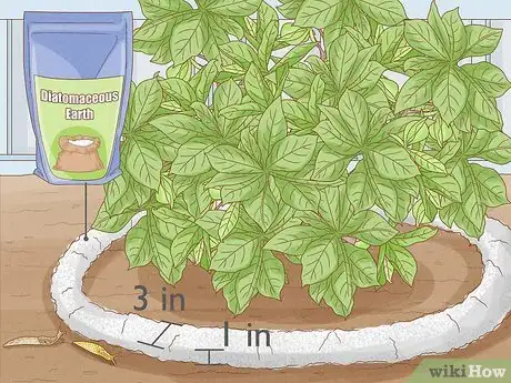 Image titled Does Vinegar Work for Slug Control Step 8
