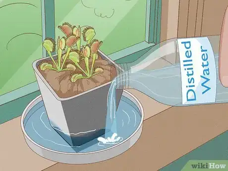 Image titled Raise Carnivorous Plants Step 16