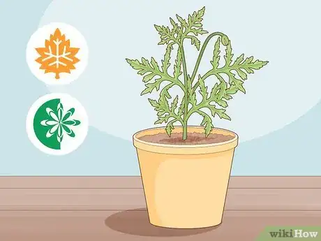 Image titled Take Root Cuttings Step 2