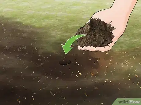Image titled Get Rid of Ground Bees Step 7