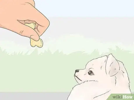 Image titled Teach a Dog to Bow Step 7