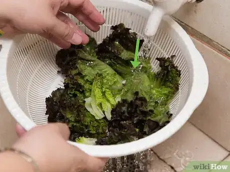 Image titled Toss a Salad Step 2