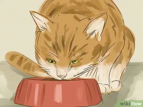 Image titled Be an Animal Lover Step 2