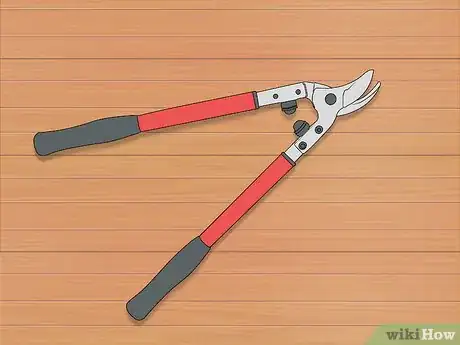 Image titled Prune a Mulberry Tree Step 2