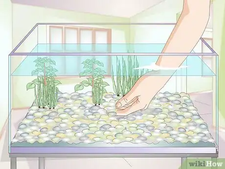 Image titled Take Care of Freshwater Fish Step 7