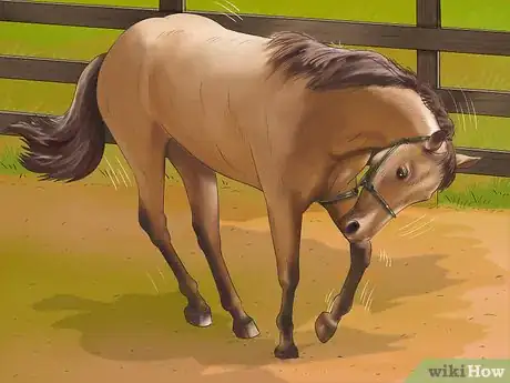 Image titled Stop Your Horse from Chewing Things Step 1