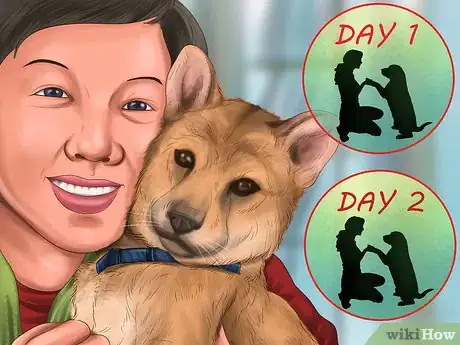 Image titled Prepare Your Small Dog for Apartment Living Step 15