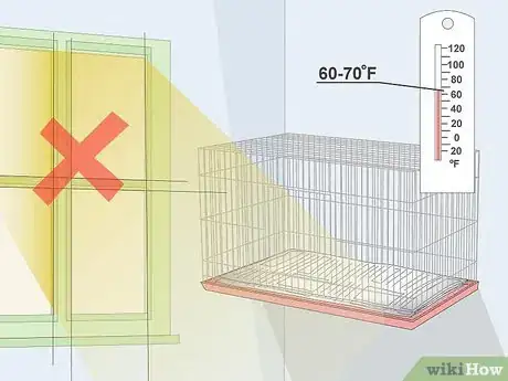 Image titled House a Canary Step 10