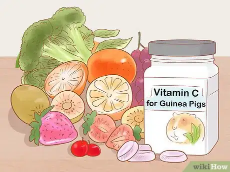 Image titled Neuter Your Guinea Pig Step 20