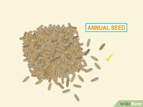 Image titled Plant Rye Grass Step 7