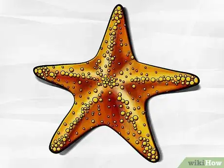 Image titled Draw a Starfish Step 6