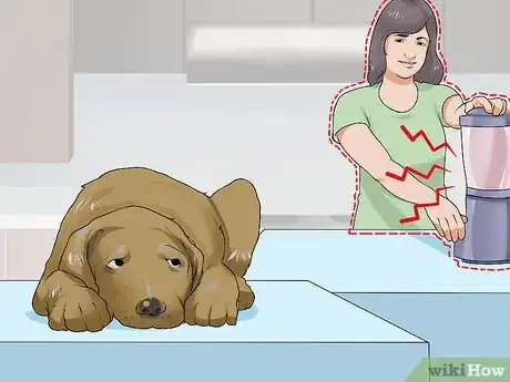 Image titled Handle New Noise Phobias in Older Dogs Step 1