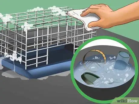 Image titled Be a Good Hamster Owner (for Kids) Step 11