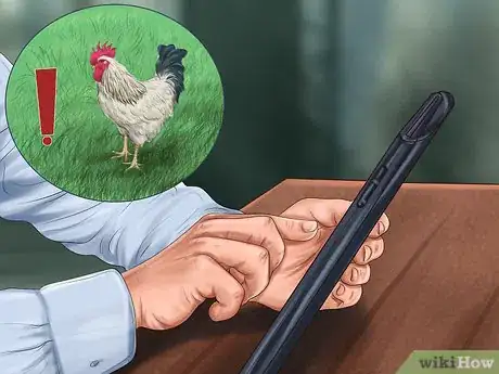 Image titled Build a Chicken Friendly Garden Step 5