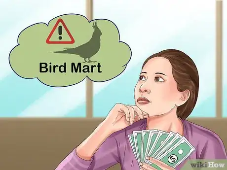 Image titled Pick a Cockatiel Step 5