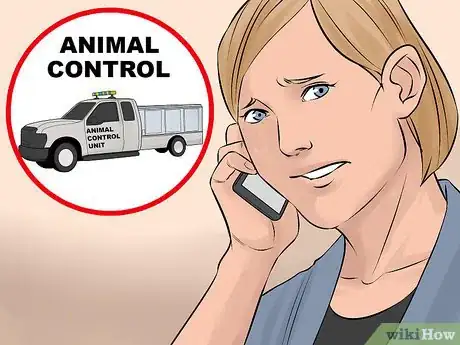 Image titled Catch a Runaway Dog Step 18