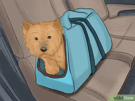 Image titled Travel Safely With Dogs Step 8