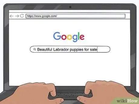 Image titled Identify a Puppy Mill Step 4