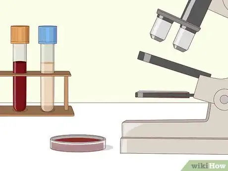 Image titled Detect Chromosomal Abnormalities Step 3