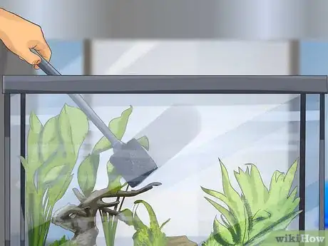Image titled Start a Saltwater Aquarium Step 39
