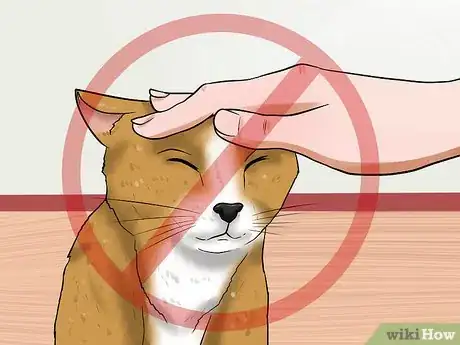 Image titled Treat Thunderstorm Anxiety in Cats Step 9