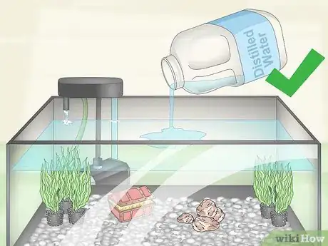 Image titled Care for Fancy Goldfish Step 7