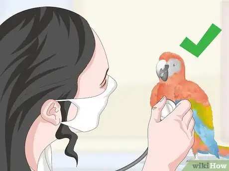 Image titled Treat and Prevent Macaw Bites Step 10
