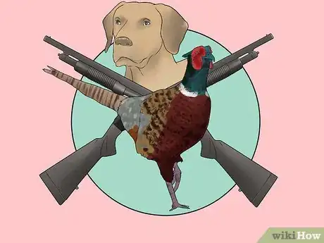 Image titled Hunt Pheasants Step 11