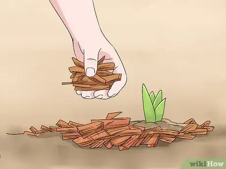 Image titled Make a Bulb Garden Step 25