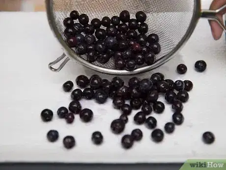 Image titled Store Blueberries Step 4