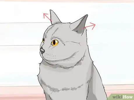Image titled Figure Out Your Cat's Mood Step 8