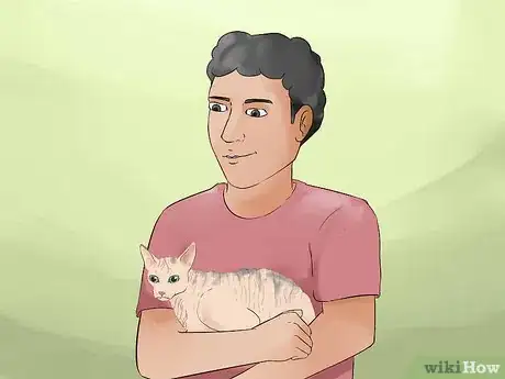 Image titled Identify a Sphynx Cat Step 7