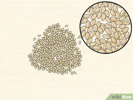 Image titled Identify a Rice Variety Step 4