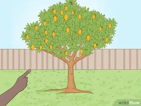 Image titled Plant a Mango Seed Step 2