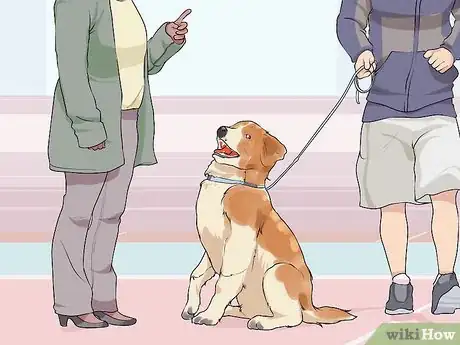 Image titled Handle a Dog Given to You As a Gift Step 11