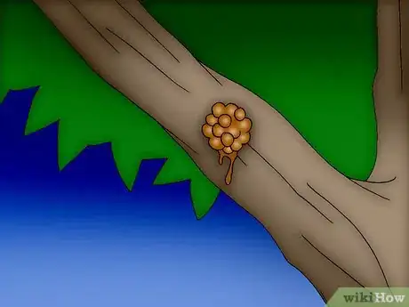 Image titled Make Campfire Starters Step 15