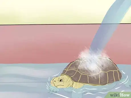 Image titled Bathe a Russian Tortoise Step 7